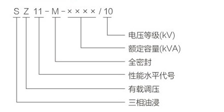 S11-M-型號(hào).jpg