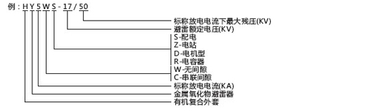 HYWS1避雷器-型號(hào).jpg