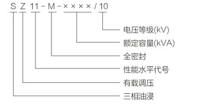 S11-M-,S13-M型全密封油浸式-型號(hào).jpg